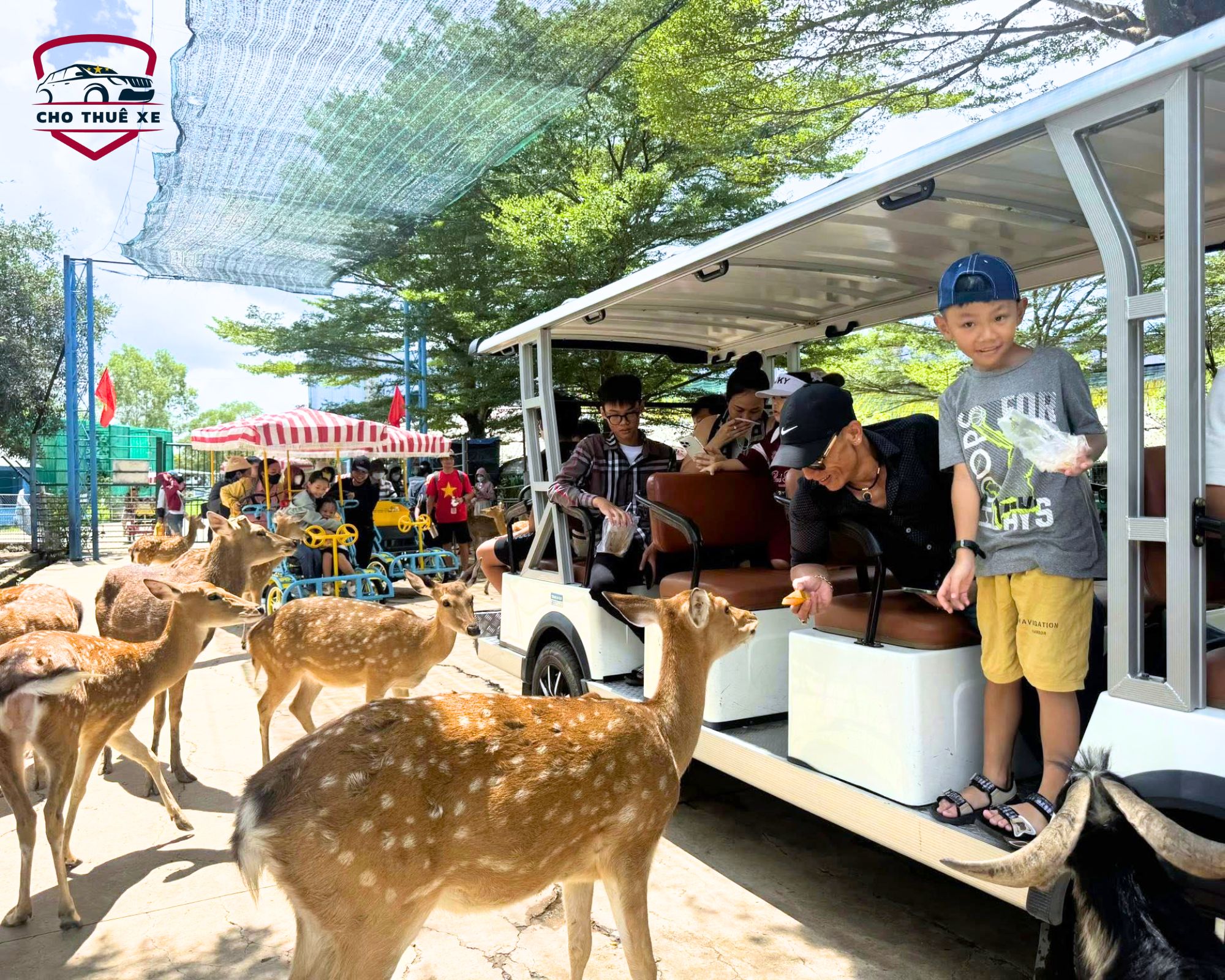 Đến Long An, đừng bỏ lỡ Vườn thú Mỹ Quỳnh. Nơi bảo tồn đa dạng sinh học và mang lại những giây phút thư giãn tuyệt vời