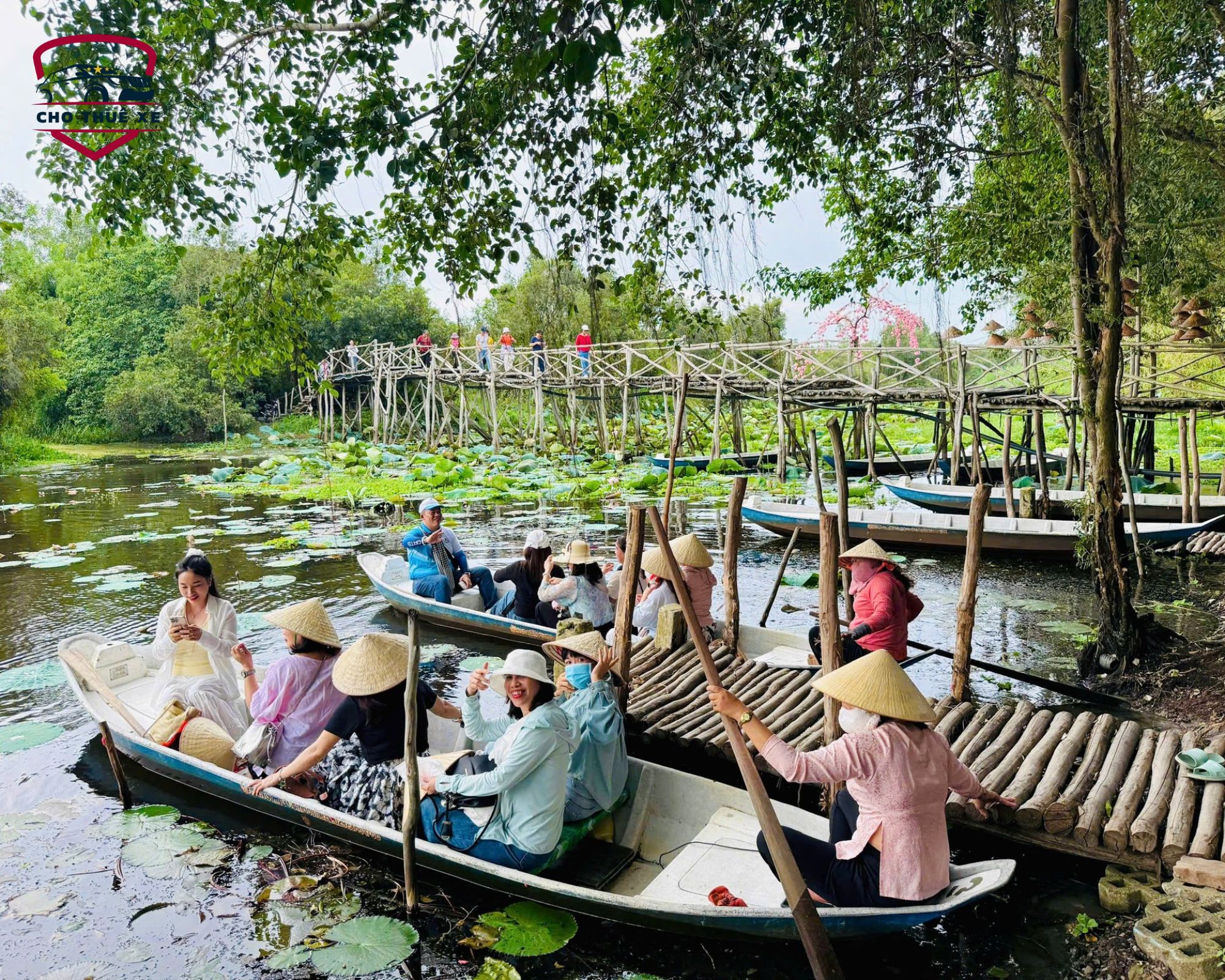 Rừng Tràm Trà Sư