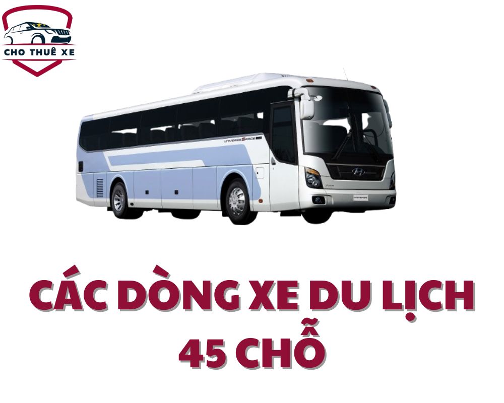 Các dòng xe du lịch 45 chỗ