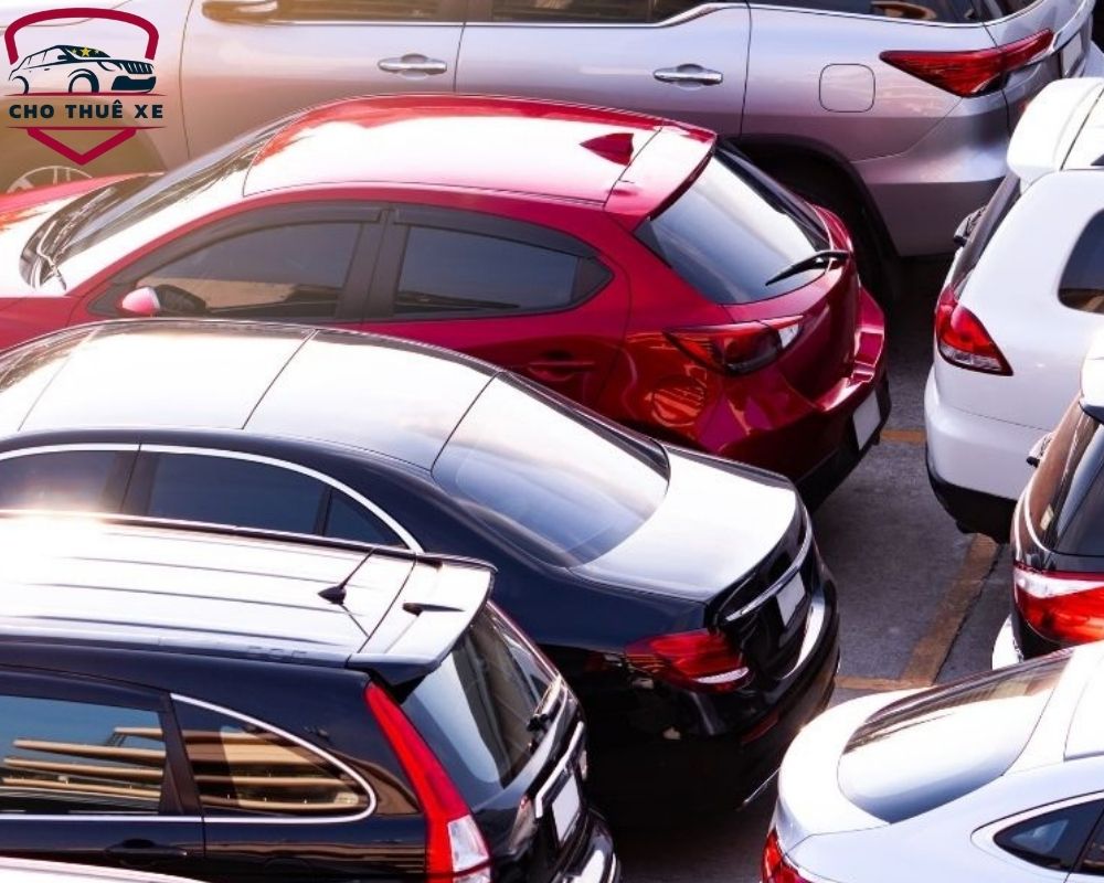 Những chiếc xe đời mới tại nhà xe Thuê Xe Việt