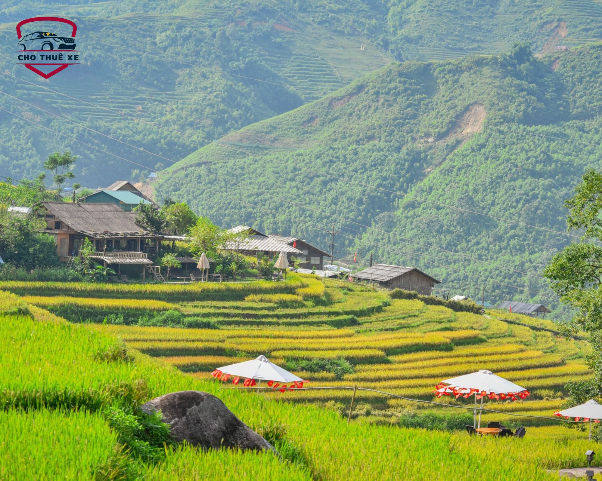 Vẻ đẹp Sapa cuốn hút vào mùa lúa chín