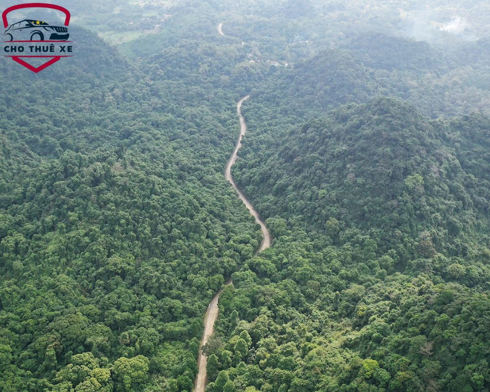 Vẻ đẹp hùng vĩ của vườn quốc gia Cúc Phương khi nhìn từ trên cao