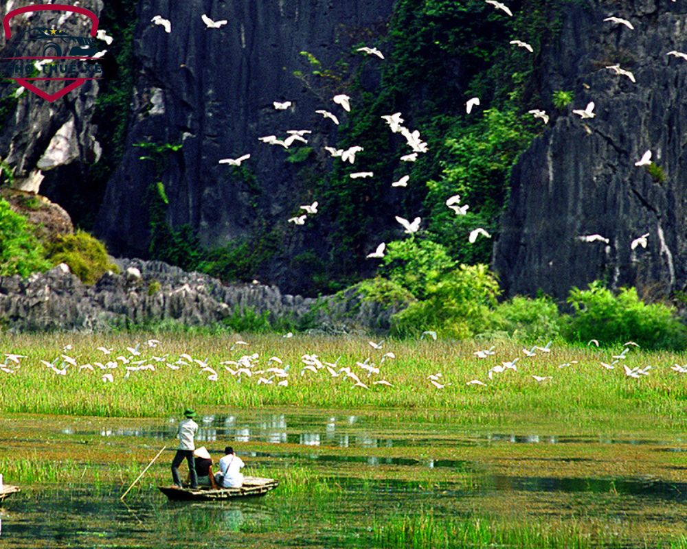 Du khách vừa ngồi đò vừa ngắm nhìn cảnh sắc hữu tình tại khu bảo tồn Vân Long