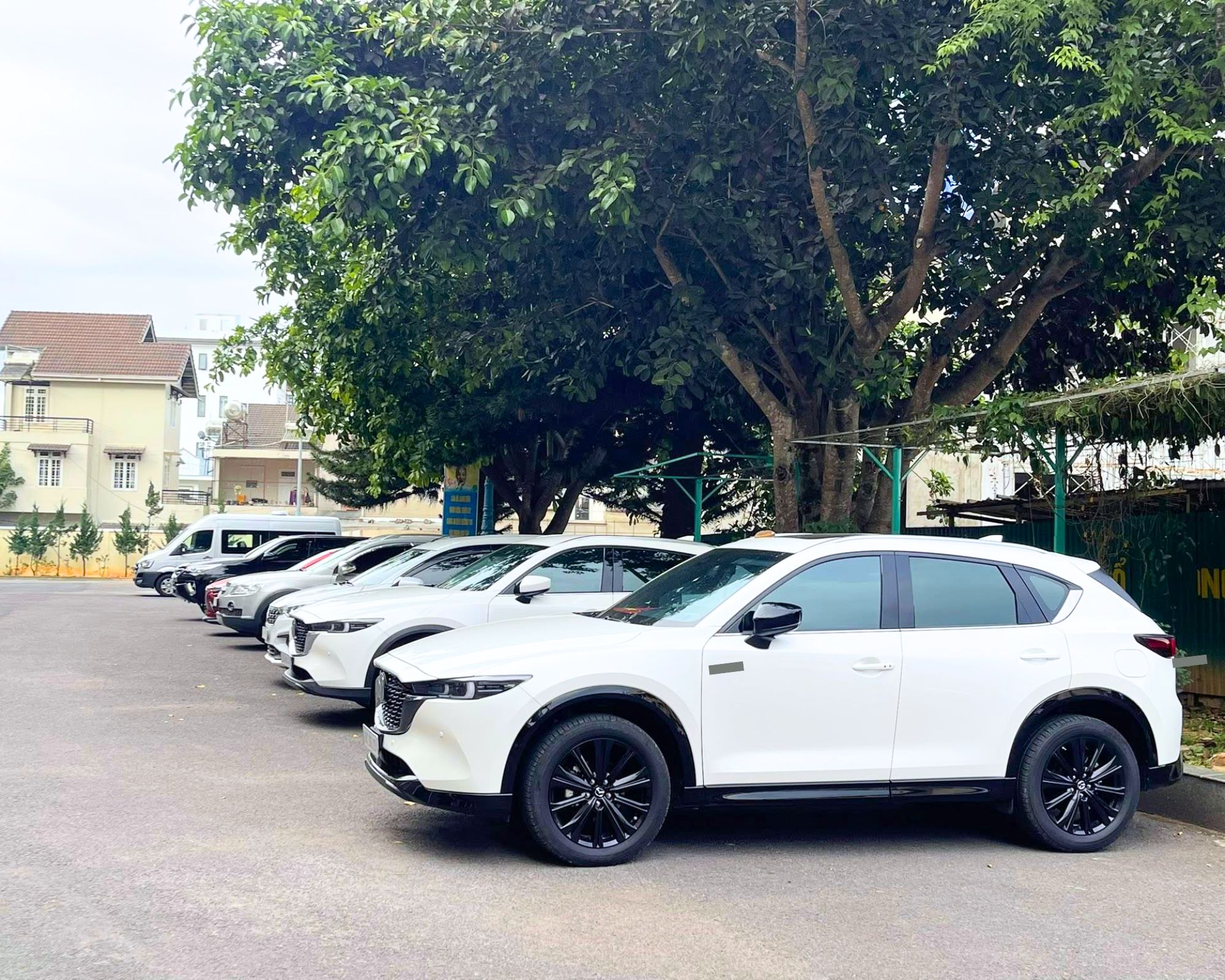 Bảng Giá Thuê Xe Đi Đắk Lắk Cập Nhật Chi Tiết Năm 2026