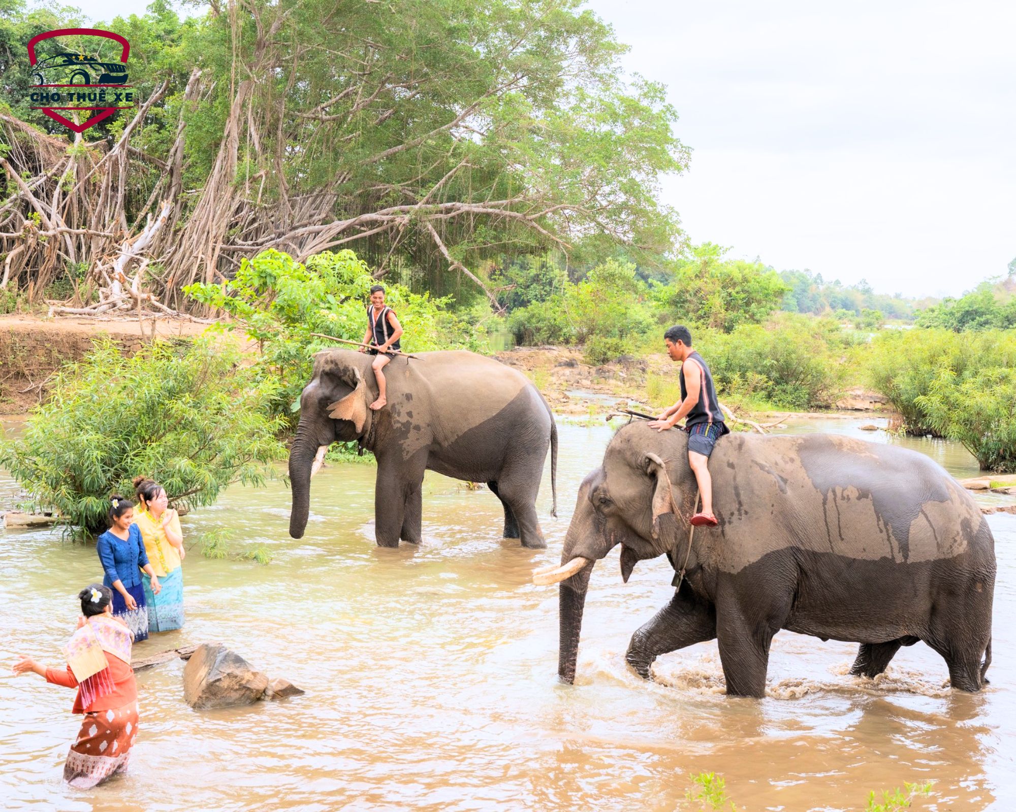 Có một Đắk Lắk bình yên và mộc mạc đến thế. Hành trình kết nối yêu thương cùng dịch vụ thuê xe đi Đắk Lắk