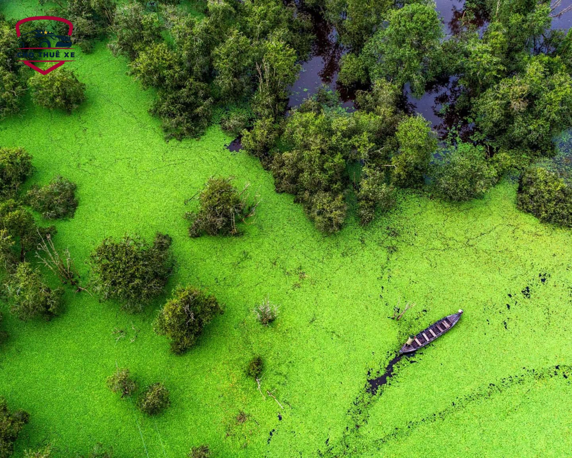 Vườn quốc gia Tràm Chim