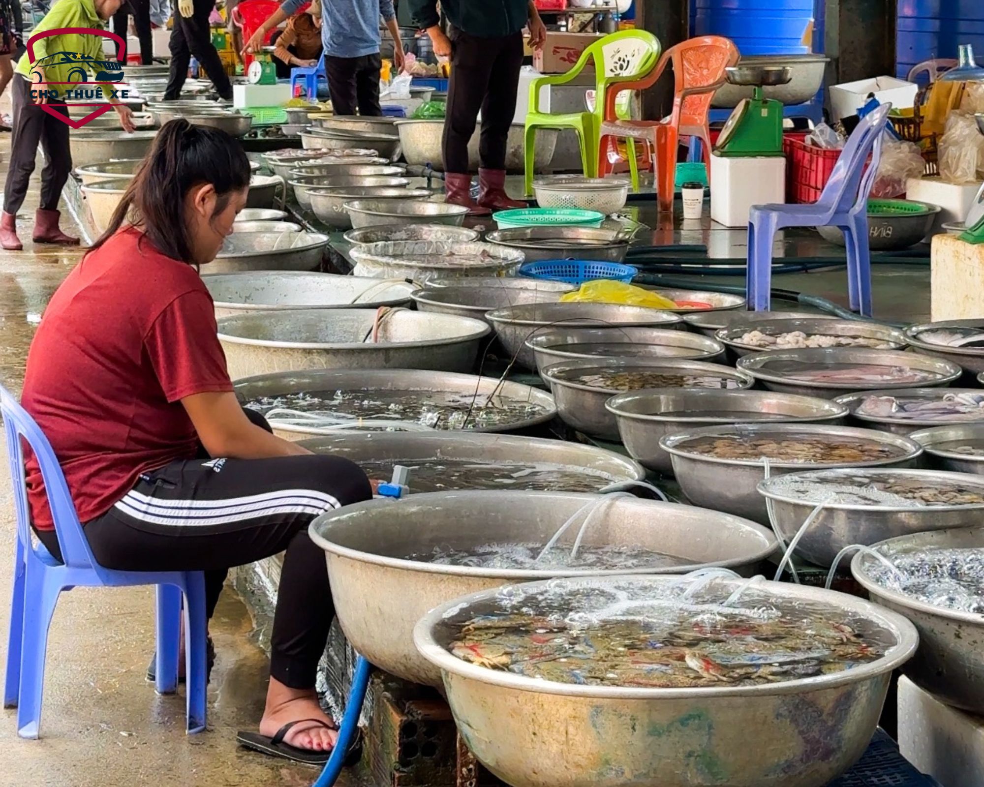 Ghé thăm chợ hải sản Hồ Tràm