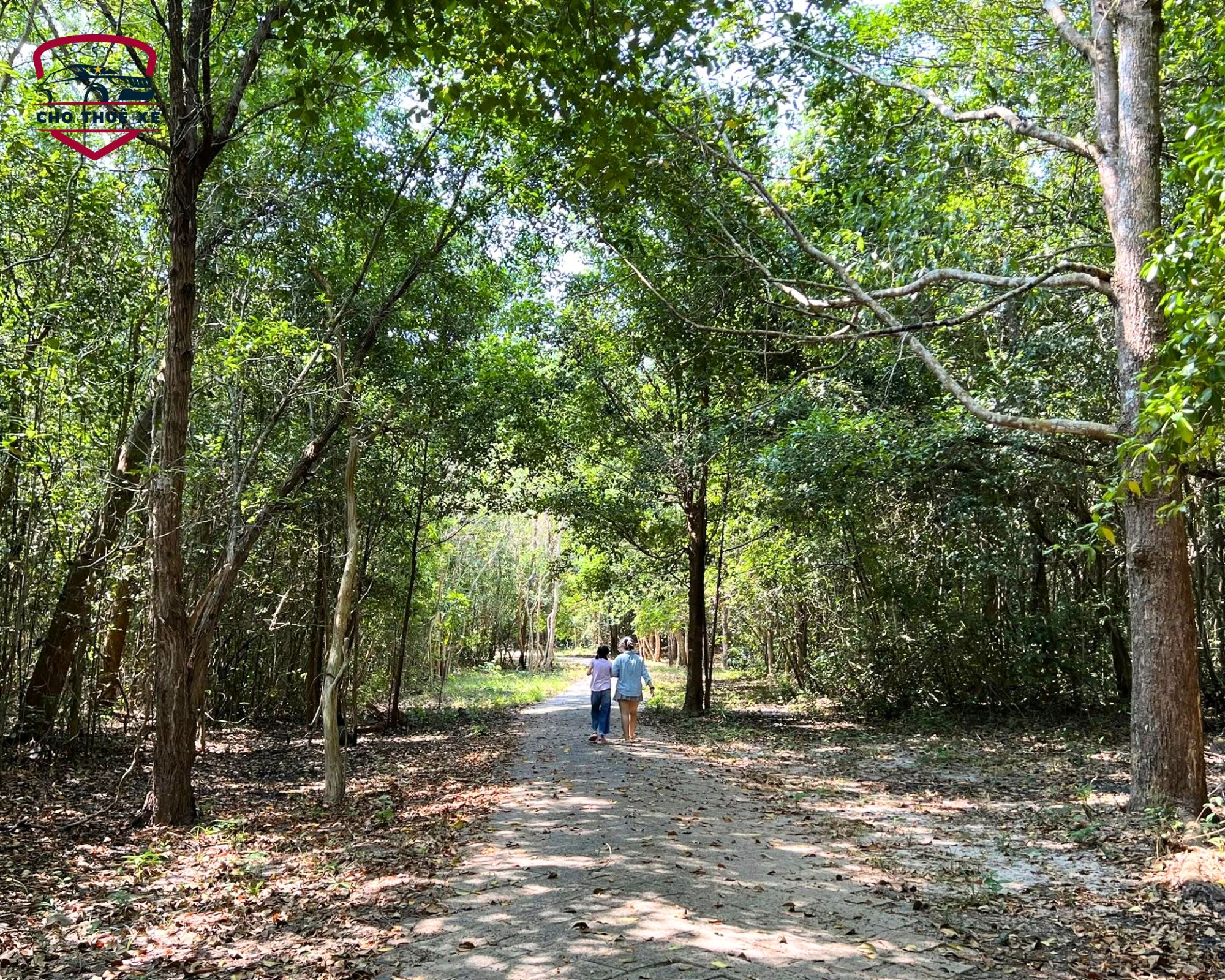 Khám phá khu bảo tồn thiên nhiên Bình Châu – Phước Bửu