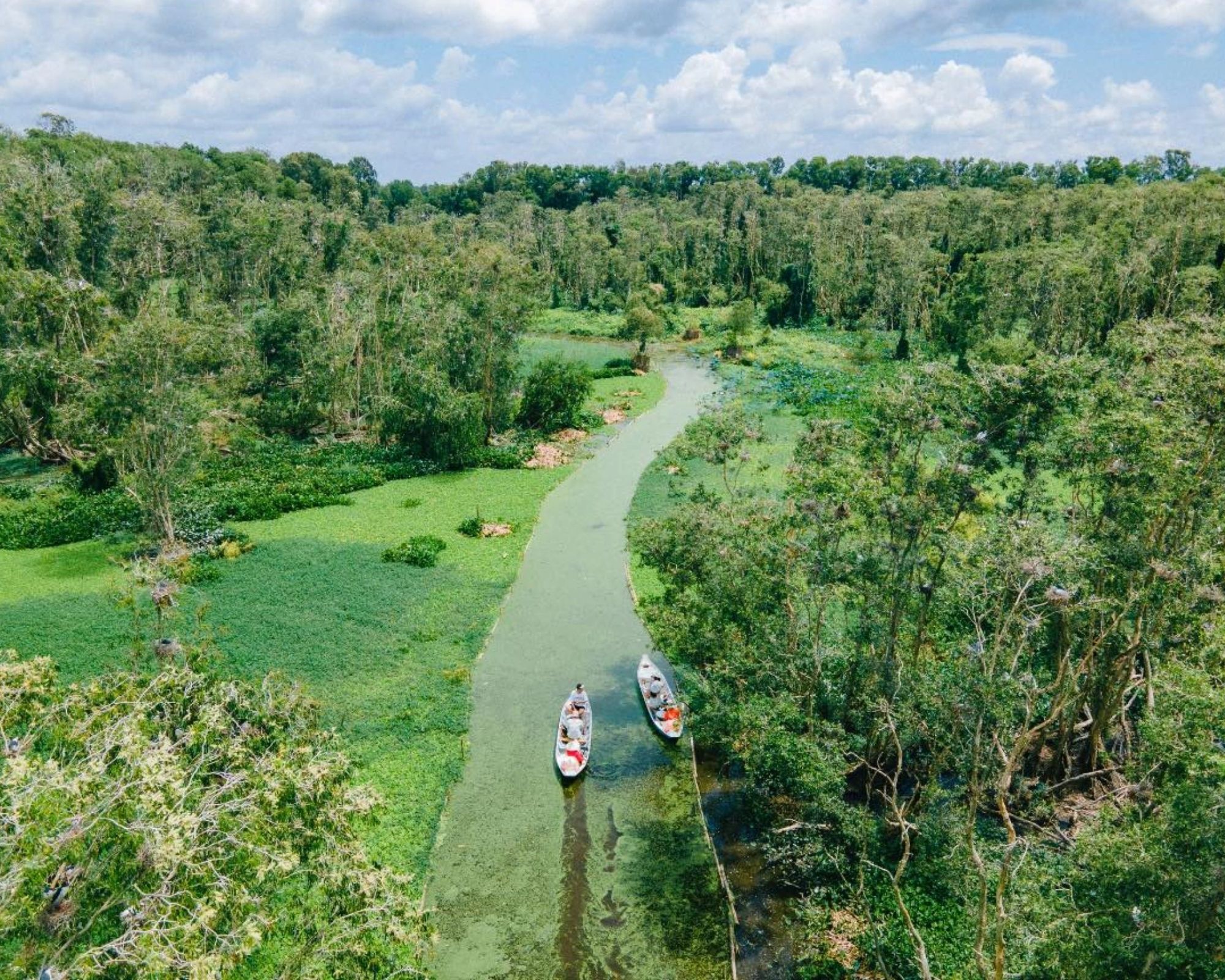 Rừng Tràm Trà Sư Ở Đâu_ Cẩm Nang Du Lịch Tự Túc Từ A-Z