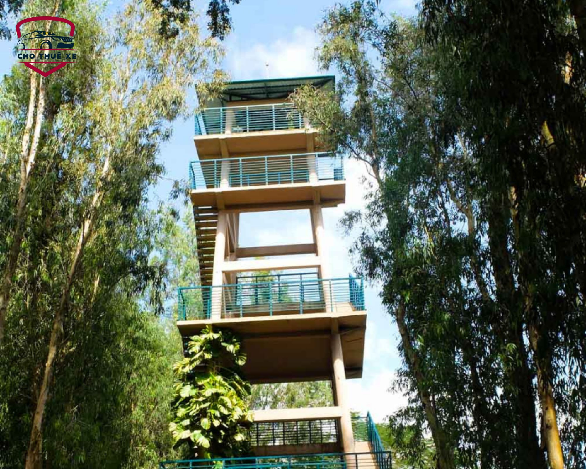 Tầm nhìn từ tháp quan sát giúp xác định vị trí Rừng Tràm Trà Sư ở đâu giữa không gian xanh mướt của vùng đất ngập nước