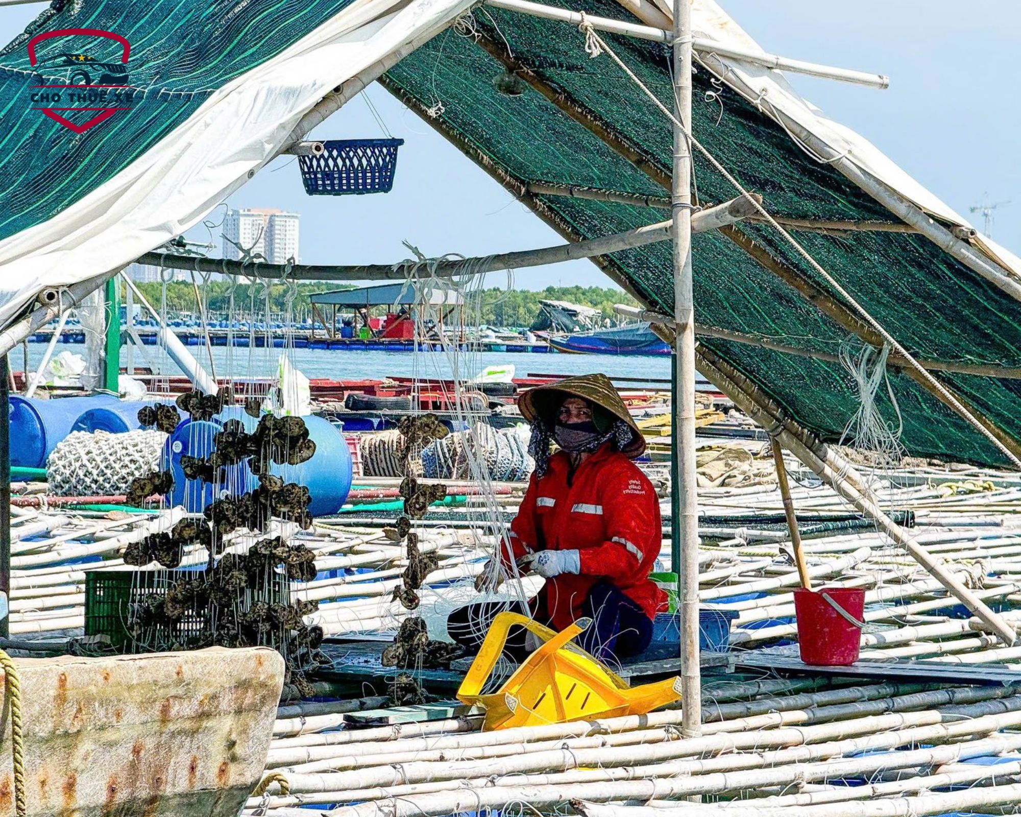 Tham quan làng bè Long Sơn