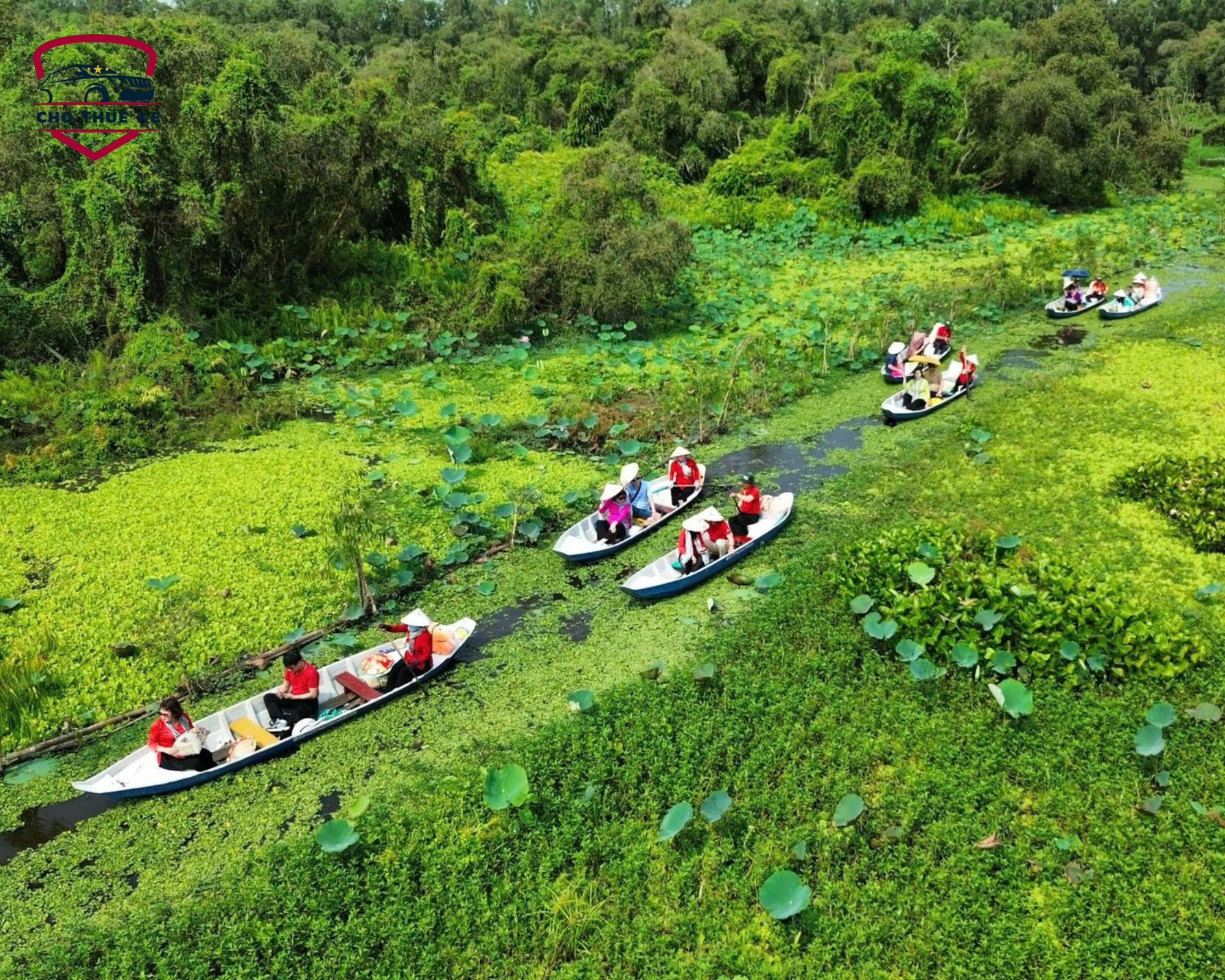 Trải nghiệm đi xuồng ba lá giúp du khách khám phá Rừng Tràm Trà Sư ở đâu và chiêm ngưỡng vẻ đẹp mùa nước nổi An Giang