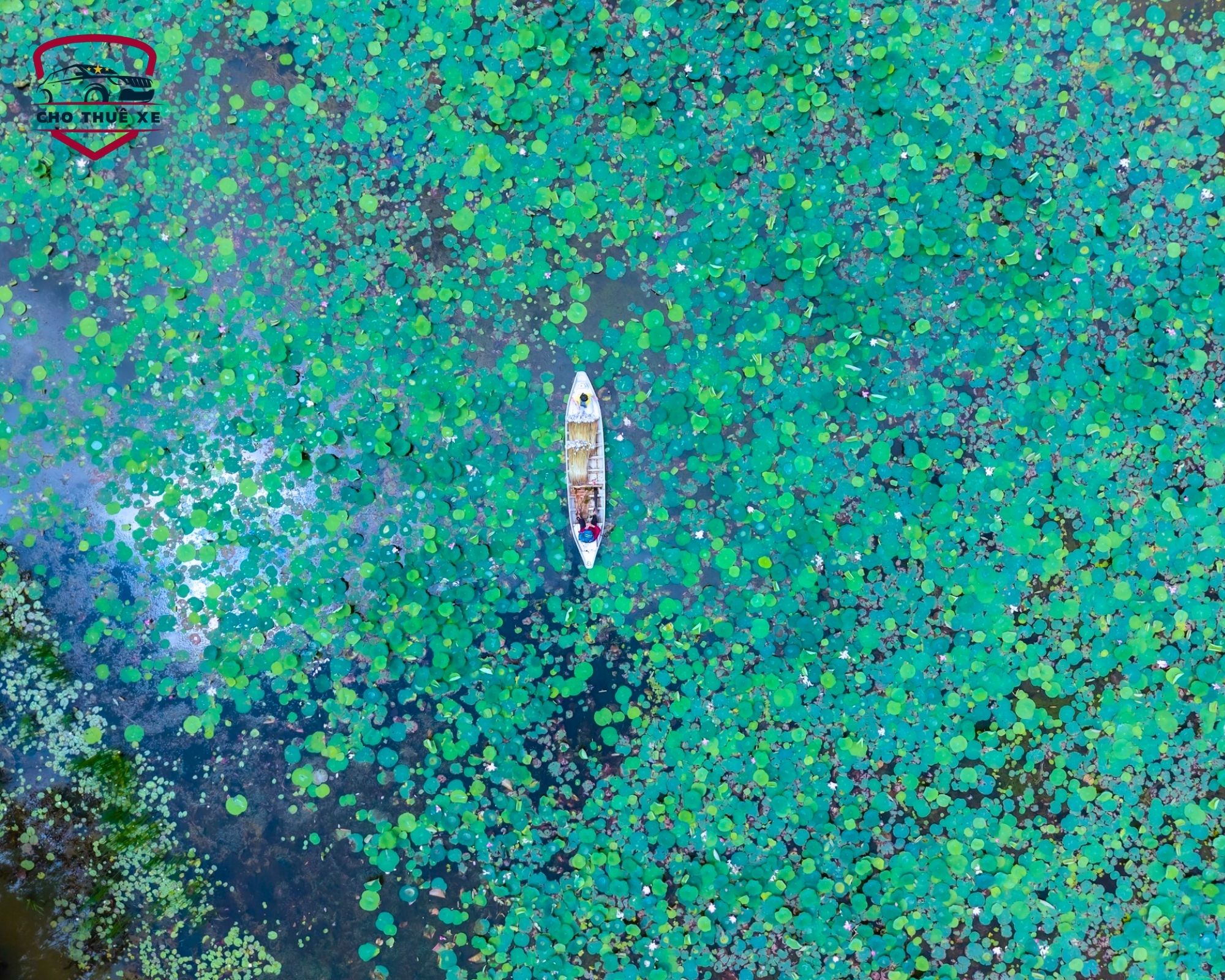 Cảnh quan thiên nhiên Long An nổi bật với sông nước và rừng tràm