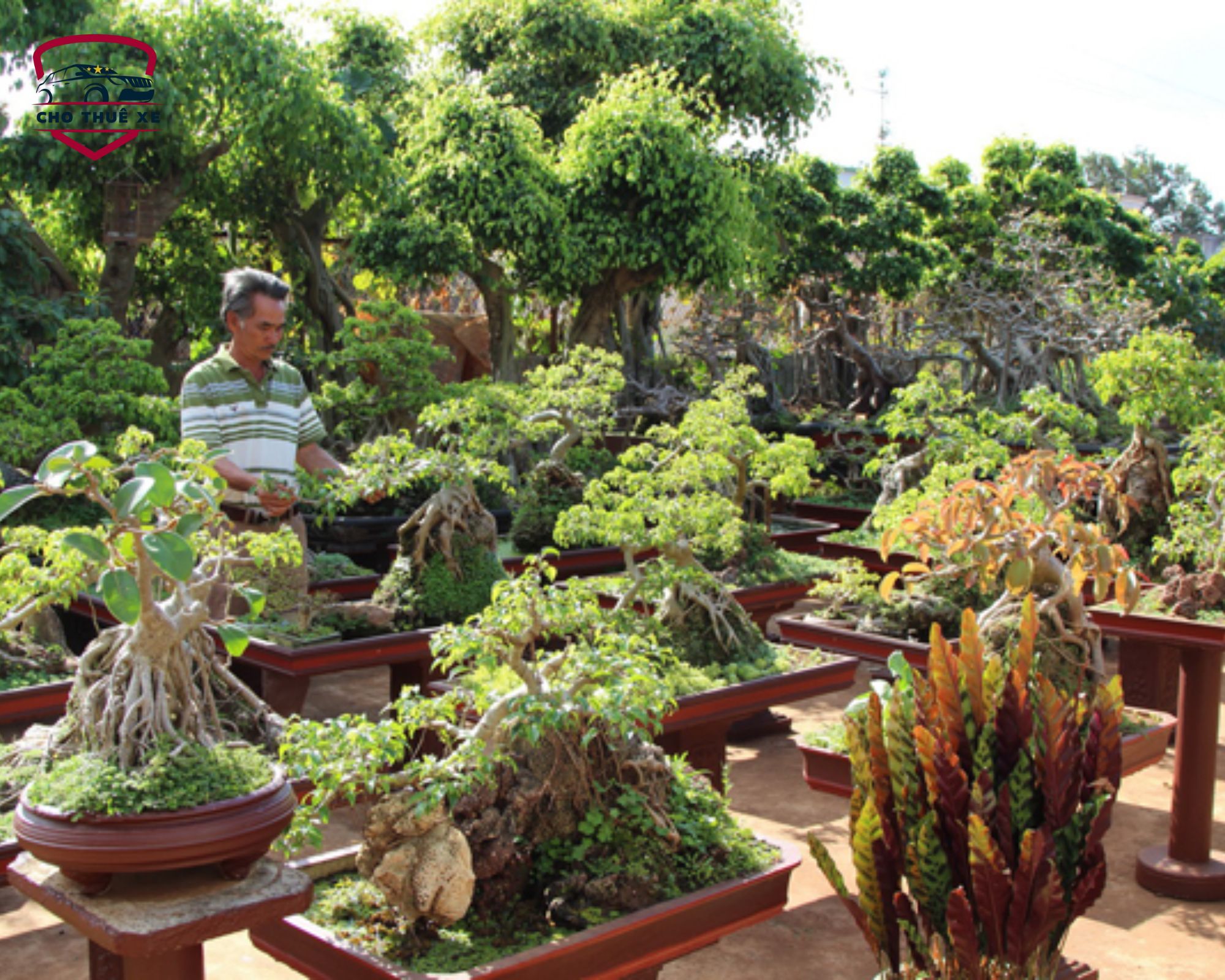 Vườn hoa kiểng Thanh Tâm Long An