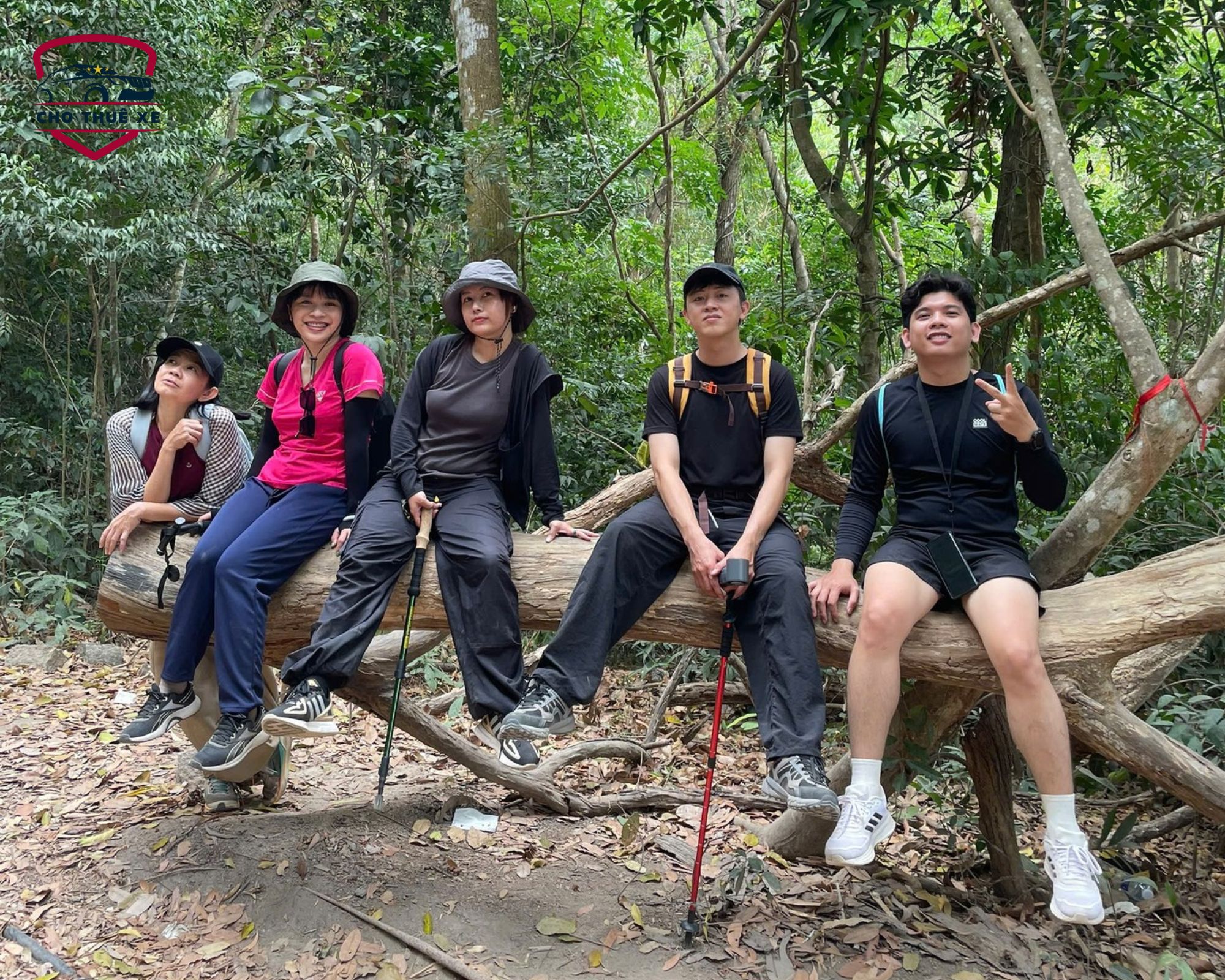 Hoạt động trekking dã ngoại cuối tuần đầy năng lượng của nhóm du khách tại Núi Dinh