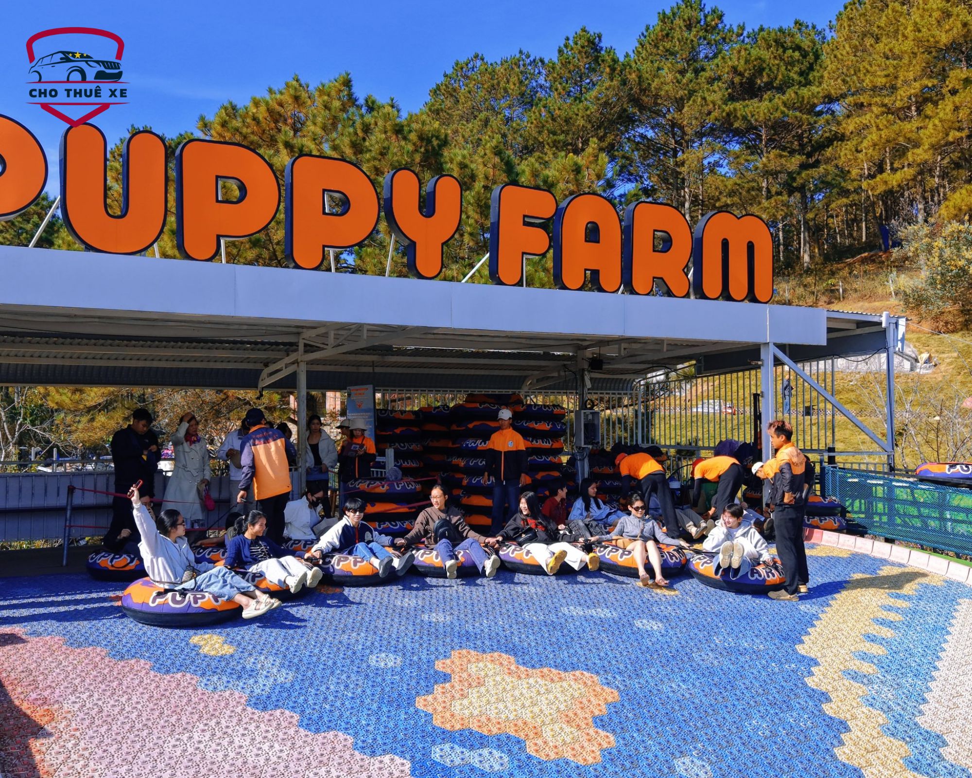 Cháy hết mình với nhóm bạn tại Puppy Farm
