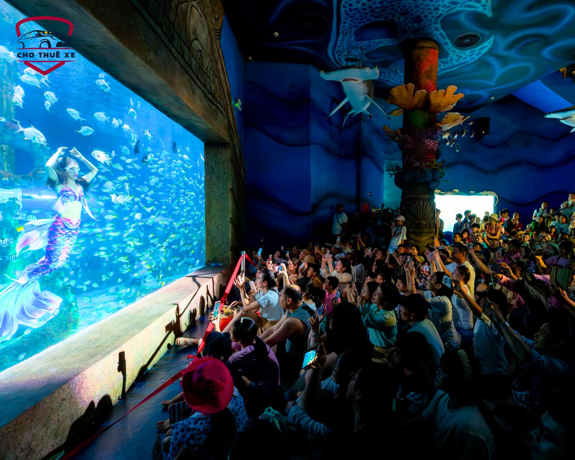 Đông đảo du khách tham quan bể cá khổng lồ tại Cung điện Hải dương Sea World Vinpearl Nha Trang